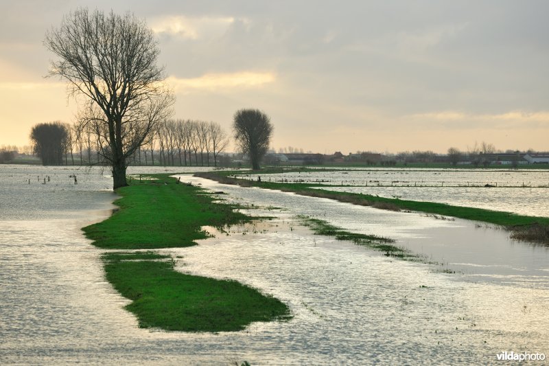 Kemmelbeek en overstroomde Noordschotebroek