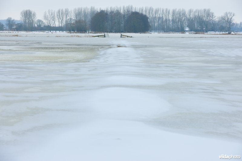 Bevroren overstroomde Rillebroeken