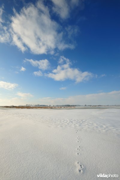 Winterse Rillebroeken
