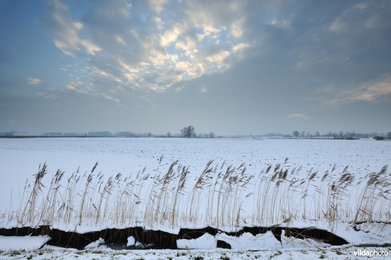 Winterse Rillebroeken