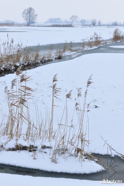 Winterse Rillebroeken