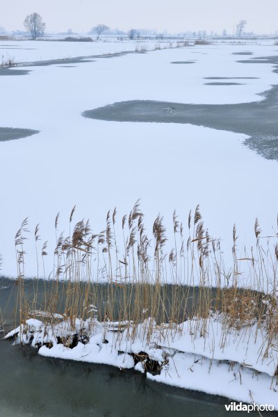 Winterse Rillebroeken