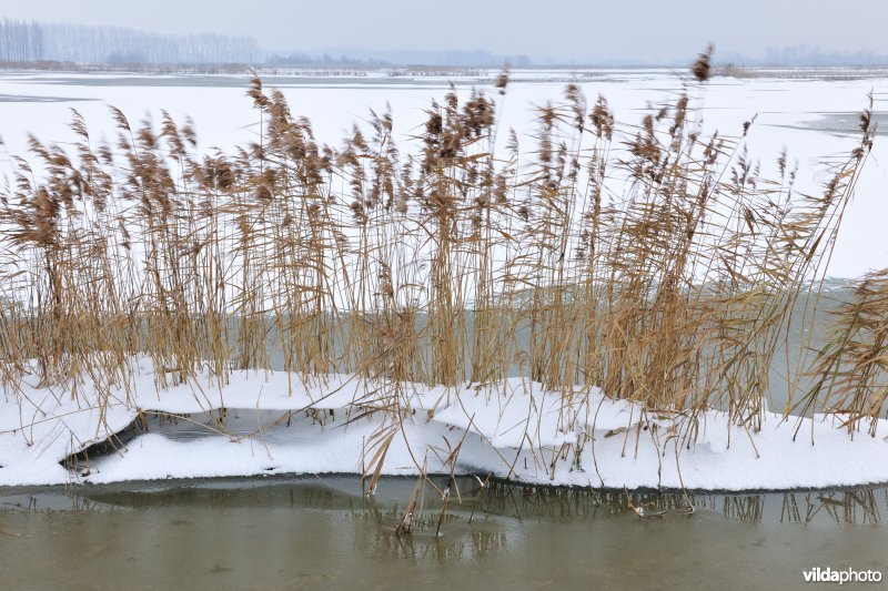 Winterse Rillebroeken