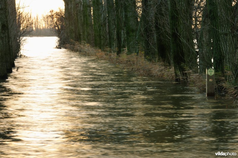 Overstroomde Rillebroeken