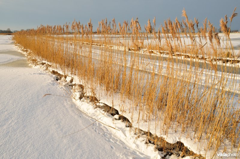 Winterse Merkembroeken