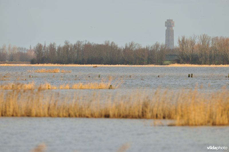 Overstroomde Merkembroeken en IJzertoren