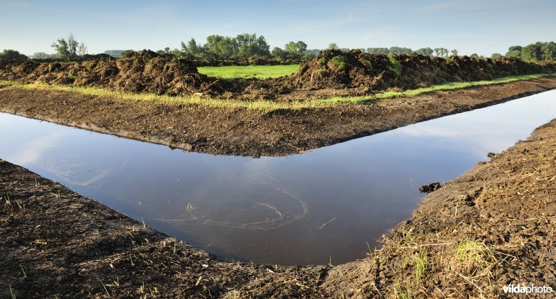 Natuurinrichtingswerken aan de Blankaart