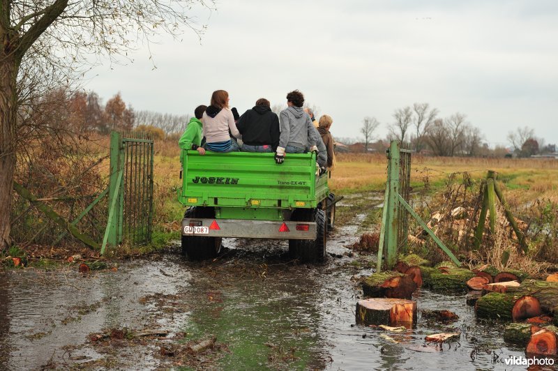 Beheerswerken tijdens Dag van de Natuur in de Blankaart