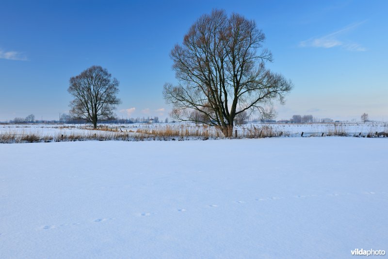 Vijfhuizenbroek