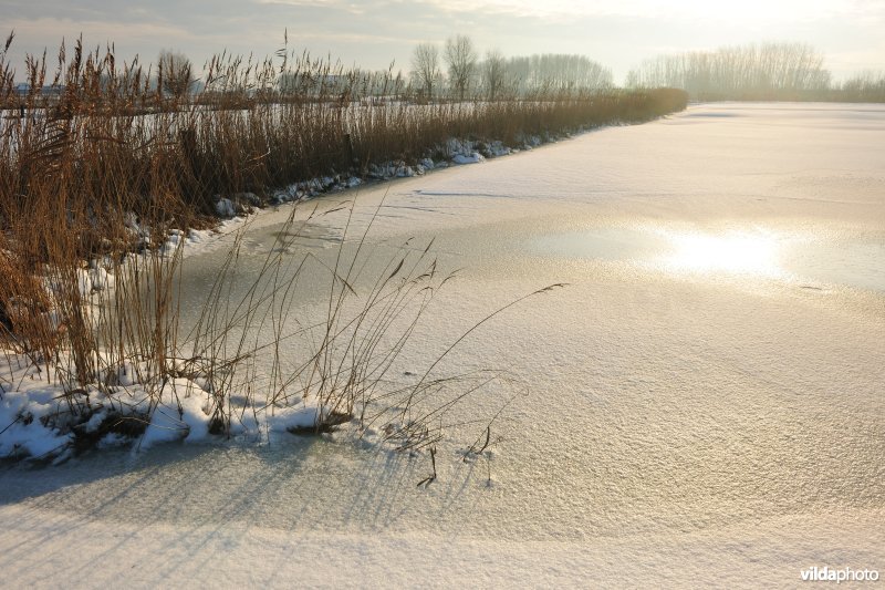 Vijfhuizenbroek