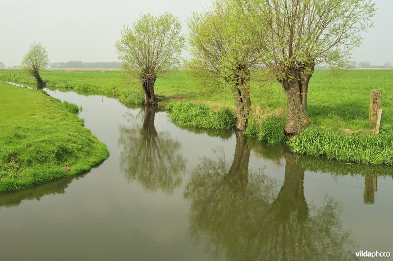 Noordeschotebroek