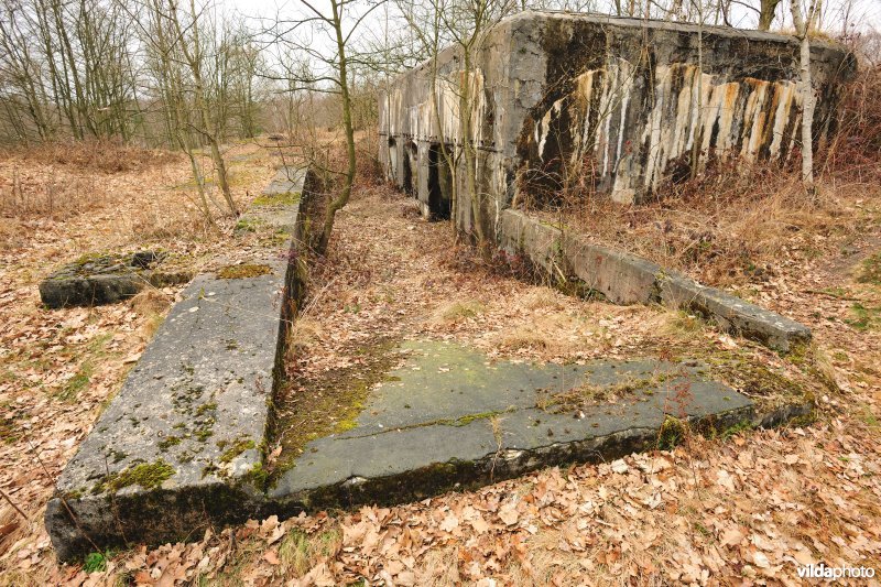 Fort Brasschaat