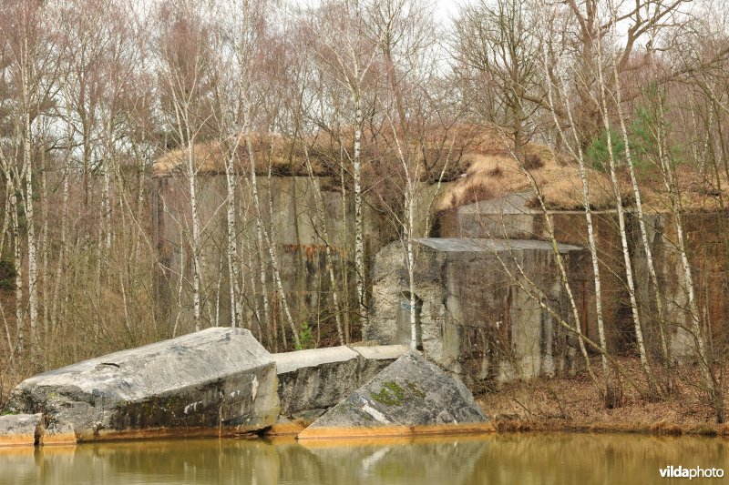 Verwoeste linkervleugel fort Brasschaat