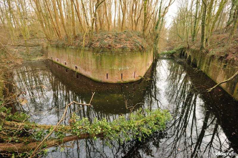 Fort Steendorp