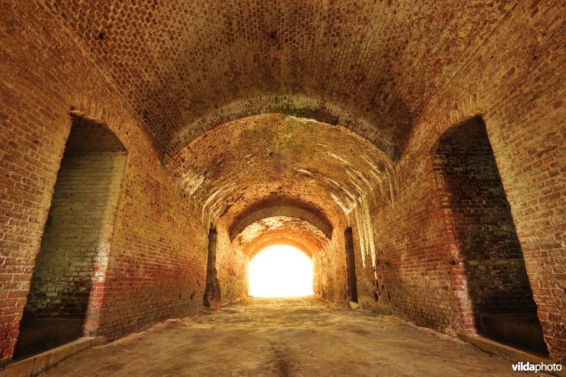 Fort Steendorp
