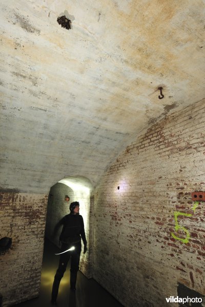 Watervleermuizen in Fort Steendorp