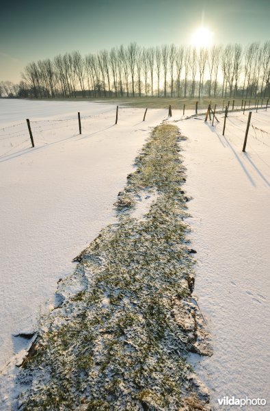 Winters kerkewegeltje aan de Blankaart