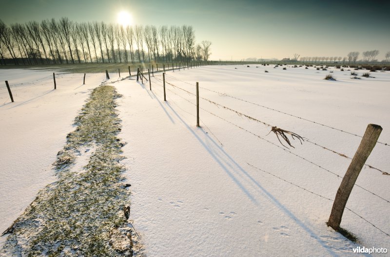 Winters kerkewegeltje aan de Blankaart
