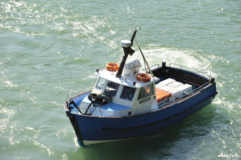 Bootje naar Skomer