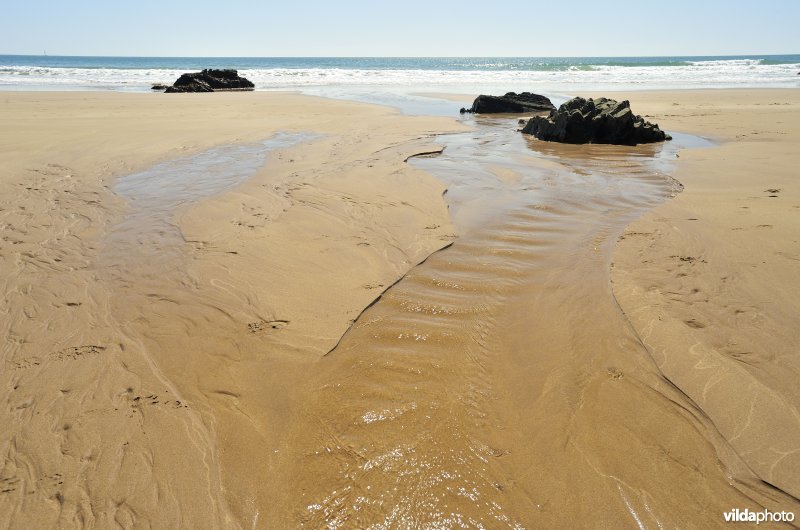 Strand van Wales