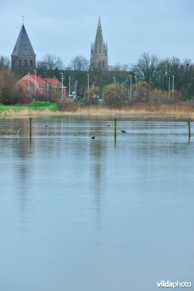 De verdronken weide