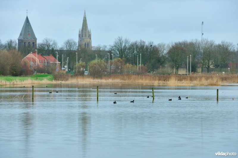 De verdronken weide
