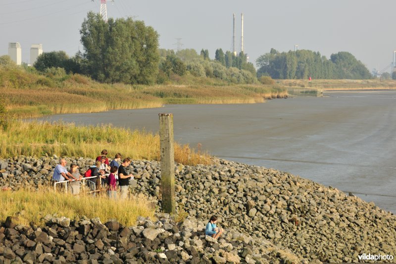 Schelde aan Fort Lillo