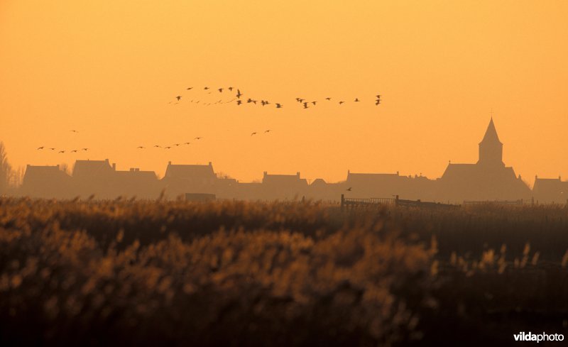 Kolganzen boven Zuienkerke