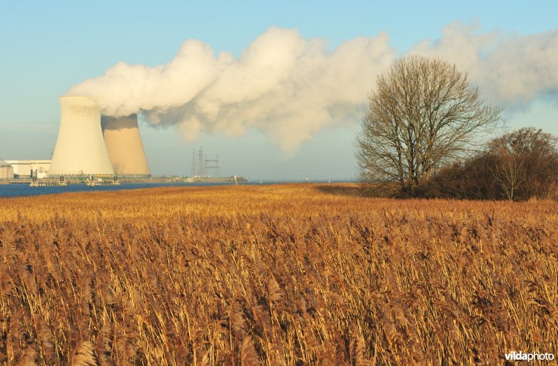 Galgenschoor aan de Schelde
