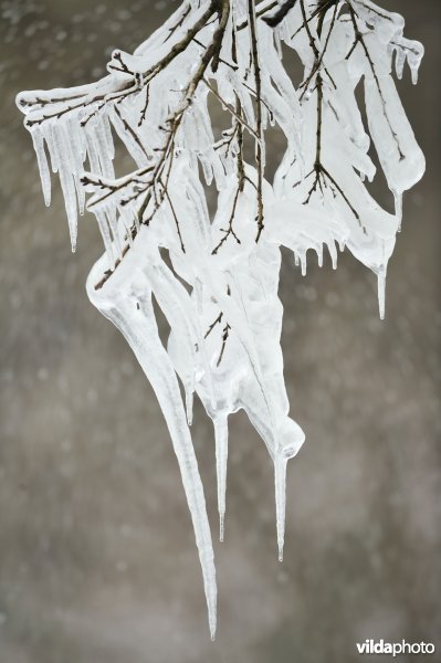 Waterval van Coo in de winter