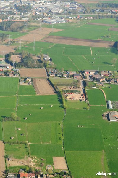 Bunkerlinie rond Haasdonk