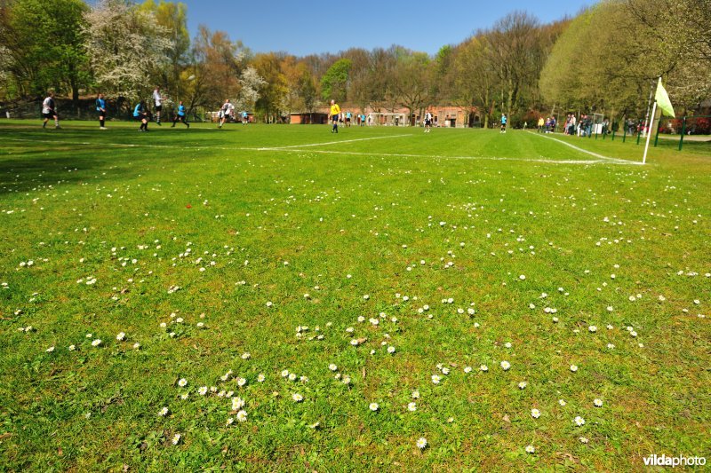 Voetbalplein in Fort Merksem