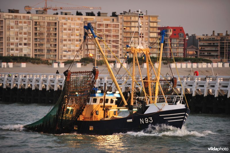 Vissersboot in de IJzermonding