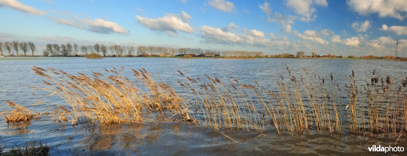Overstroomde IJzerbroeken