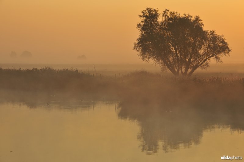Rivier IJzer