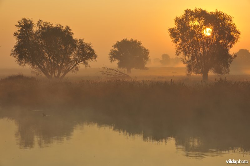 Rivier IJzer