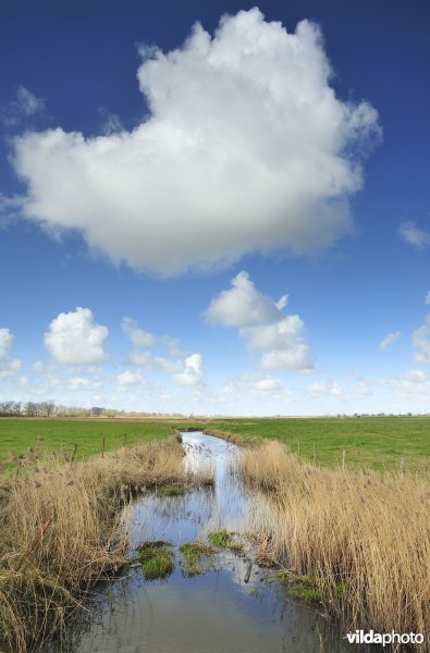 Vallei van de Handzame