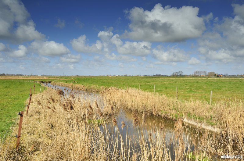 Vallei van de Handzame