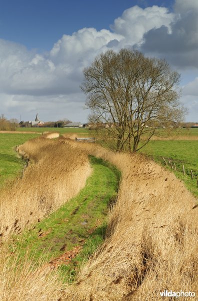 Vallei van de Handzame