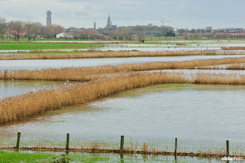 Overstroomde Esenbroeken