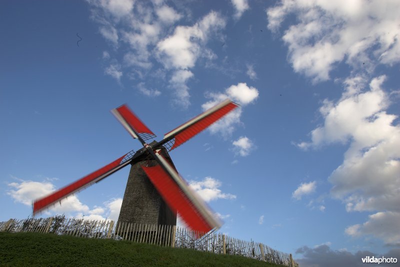 Windmolen in Wannegem