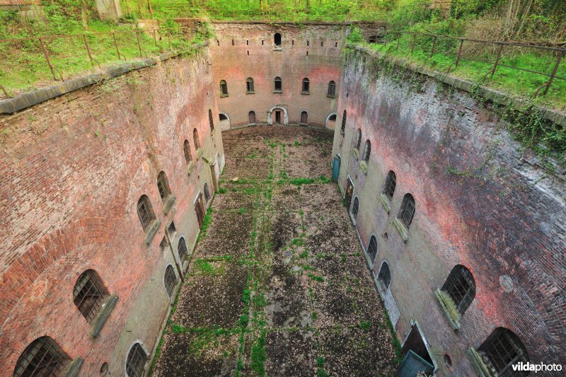 Fort 7