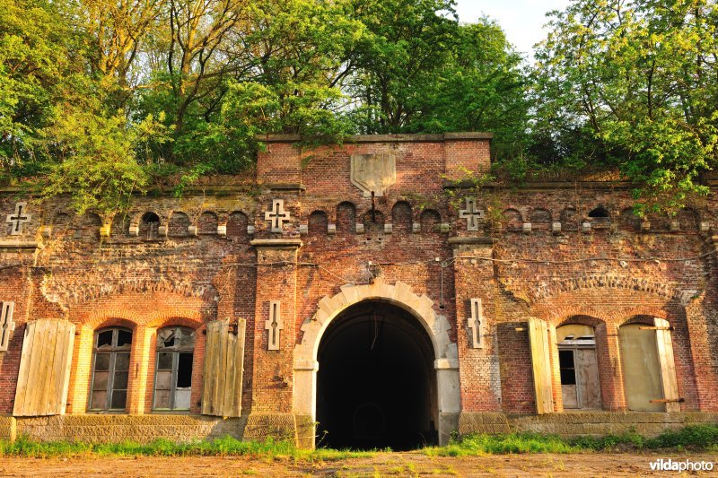 Fort 7