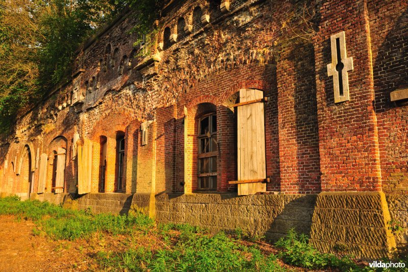 Fort 7