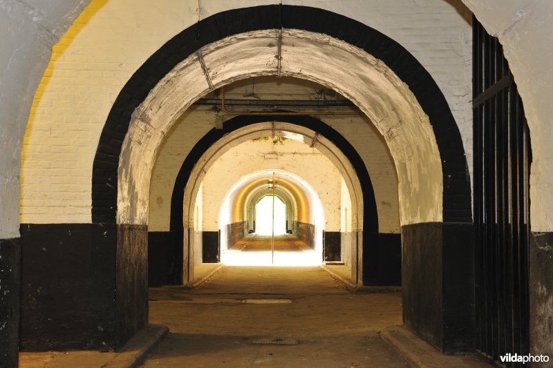 Fort 2
