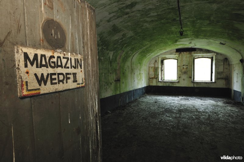 Fort Haasdonk