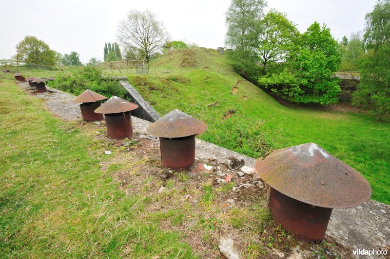 Fort Haasdonk