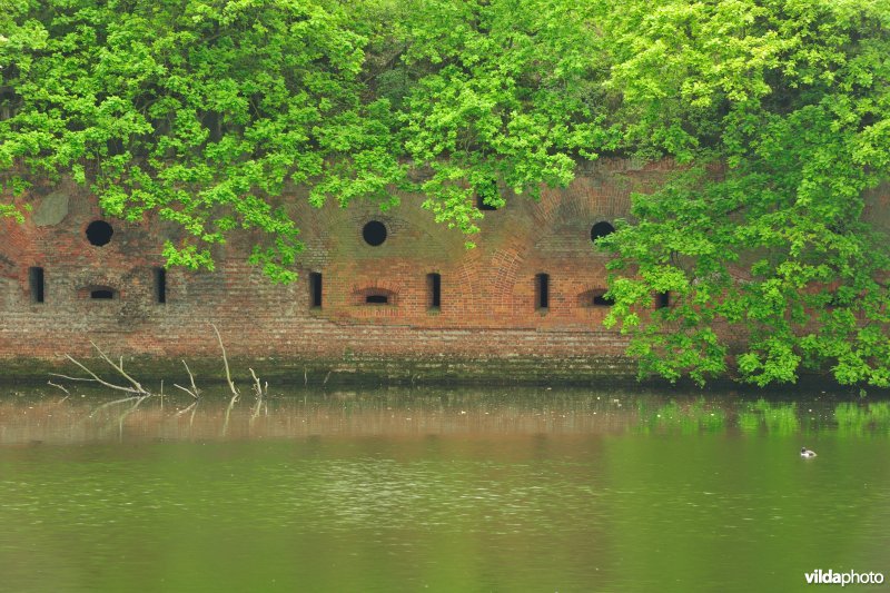 Fort van Borsbeek
