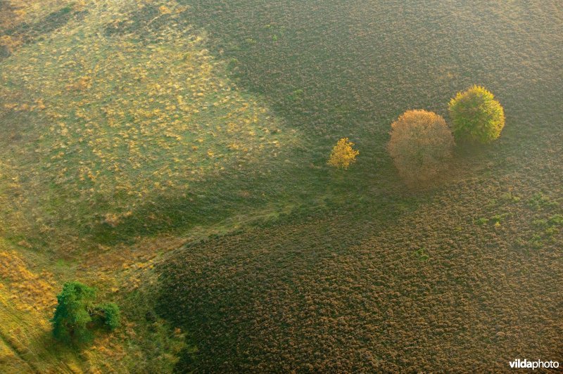 Luchtfoto van het Herikhuizerveld op de Veluwezoom in de herfst