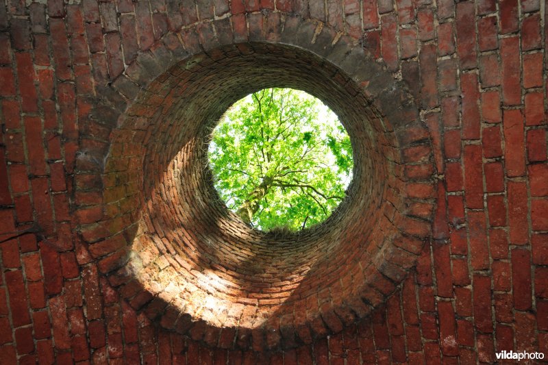 Fort 6